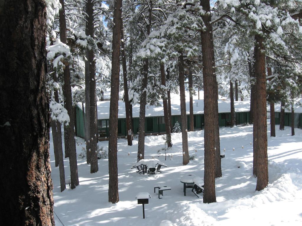 Timberlodge Inn Pinetop-Lakeside Chambre photo
